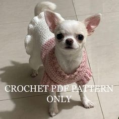 a small white dog wearing a pink sweater with the words crochet pipe pattern only