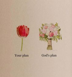 an image of two flowers with the words your plan and god's plan written on them