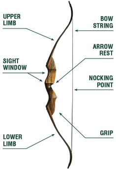 an arrow with arrows pointing up and down, labeled in the words upper limb, lower limb, right arrow rest, nooking point, lower limb