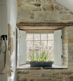 a potted plant sitting on top of a window sill