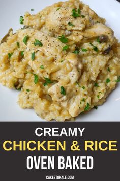 creamy chicken and rice is served on a white plate