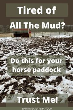 Read this article for everything you need to know about horse paddock mud control! Horse paddock footing and horse mud management are some of the major things that can keep horse owners and horse farm owners up at night. Horse ownership just got a bit easier! Great horse care tips in here, for your equestrian lifestyle! Horse Farm Hacks, Diy Horse Arena Cheap, Horse Track System Ideas, Horse Paddock Ideas, Horse Barn Hacks, Paddock Paradise Ideas, Paddock Footing, Muddy Horse, Simple Horse Barns