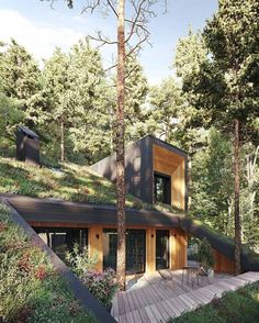 an artist's rendering of a house in the woods with stairs leading up to it