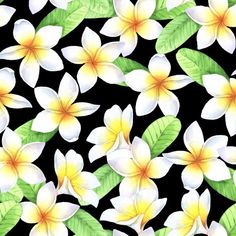 white and yellow flowers with green leaves on a black background seamless wallpaper pattern