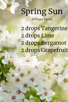 Spring Diffuser Blends, Doterra Essential Oils Recipes