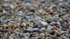 many small rocks are scattered together on the ground, including one that looks like it is covered in gravel