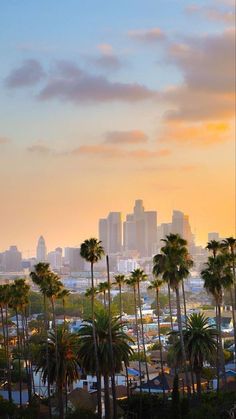 palm trees in front of a city skyline at sunset with the sun peeking through clouds