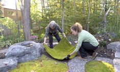 two women work together to make a moss covered rock garden