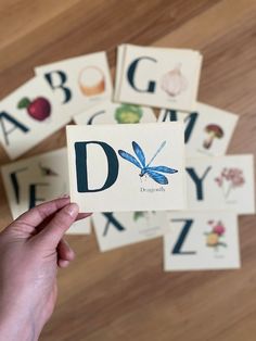 a person holding up a card with the letter d on it in front of several other cards