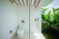 a white toilet sitting next to a walk in shower under a wooden ceiling mounted faucet