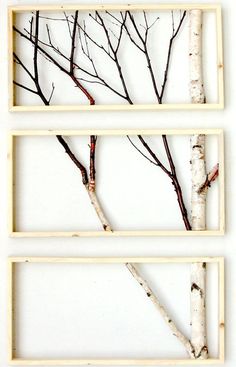 three frames with branches in them and the words interest written on one wall above it