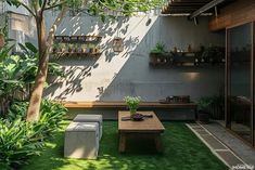 an outdoor living area with grass and potted plants