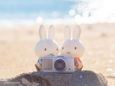 two white rabbits sitting on top of a rock with a camera in front of them