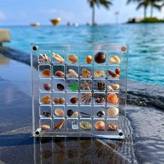 there are many seashells in the cage on the table next to the water