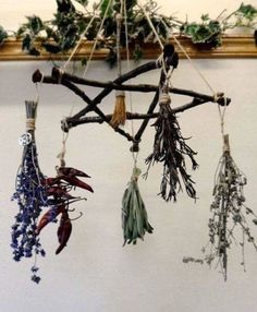 Herb Hanger, Hantverk Diy, Yule Gift, Wiccan Crafts, Wiccan Decor, Pagan Crafts, Magia Das Ervas, Witch Diy, Witchy Crafts