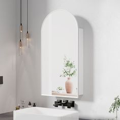 a white sink sitting under a mirror next to a wall mounted faucet with a potted plant in it