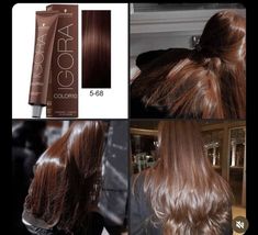 Igora Hair Color, Best Hairstyles For Women, Black Hair Balayage, Brown Hair Looks, Hair Tint, Hair Color Formulas, Brown Hair Dye