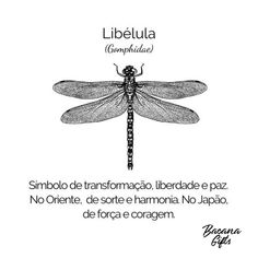 a black and white drawing of a dragonfly with the words libieula compifia