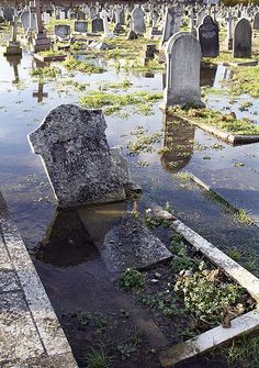 an old cemetery is flooded with water