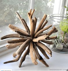 a bunch of driftwood sticks sitting on top of a window sill next to a potted plant