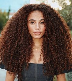 Honey Brown Hair Color, Honey Brown Hair, Penteado Cabelo Curto, Honey Brown, Brown Hair Colors, Brown Hair, Curly Hair, Curly Hair Styles, Honey