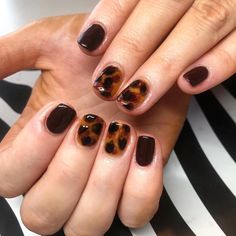 Nail Makeup, Ten Nails, Buff Nails, Makeup Nails Designs, Gelish Nails, Spa Set, Nail Envy, Brown Nails