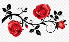 two red roses with black leaves on a white background png, transparent and transparent