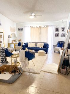 a living room filled with furniture and a dog laying on the floor