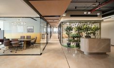 an office with glass walls and plants in the center