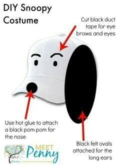 the instructions for how to make a dog's nose look like it is wearing a hat