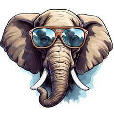 an elephant with glasses on it's head