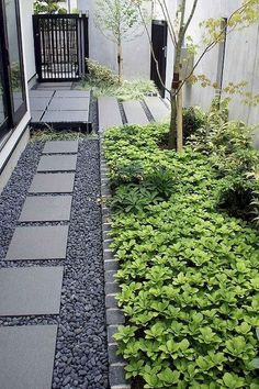 an outdoor garden with stone walkways and green plants