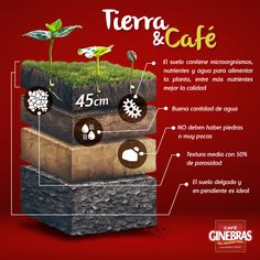 the diagram shows how terra and cafe are used to grow plants in their own soil