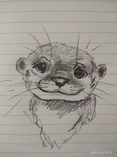 a drawing of an otter looking at the camera