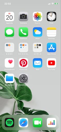 an iphone with icons on the screen and a plant next to it, all in different colors