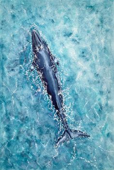 a painting of a dolphin swimming in the ocean