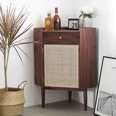 a wooden cabinet sitting next to a potted plant on top of a table in a room