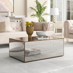 a living room filled with furniture and a plant on top of a glass coffee table