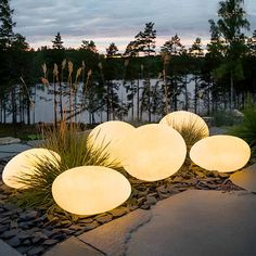 a group of lights sitting on top of a stone floor next to grass and trees