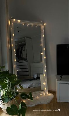 there is a mirror with lights on it and a plant in the corner next to it