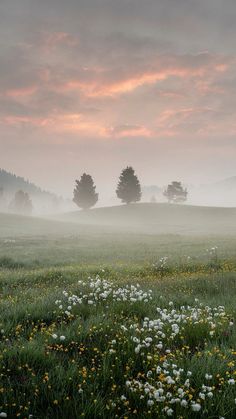 an open field with flowers and trees in the distance on a foggy day at sunset