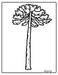 a black and white drawing of a tall tree with leaves on it's trunk