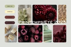 a bunch of different pictures with the words printempsette 2055