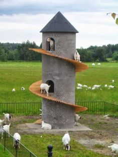 several goats are standing on the ledges of a tower in a field with sheep