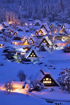 a snowy village with lots of houses lit up at night