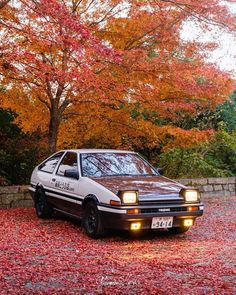 a car parked in front of a tree with fall leaves on the ground around it