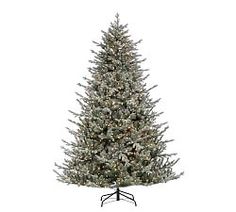 a christmas tree with white lights and snow on the top, in front of a white background