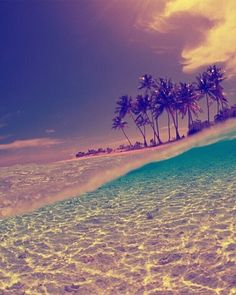 an image of the ocean with palm trees in the background and a wave coming towards shore