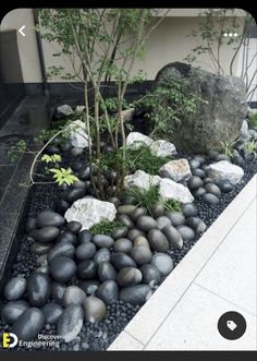 a rock garden with trees and rocks in front of a building on the side walk