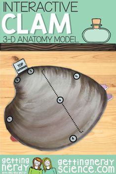 an interactive clam model for kids to learn how to draw and paint with the help of